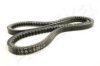 ASHIKA 109-10X925 V-Belt